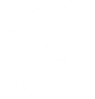 Logo - VVS Fagmann